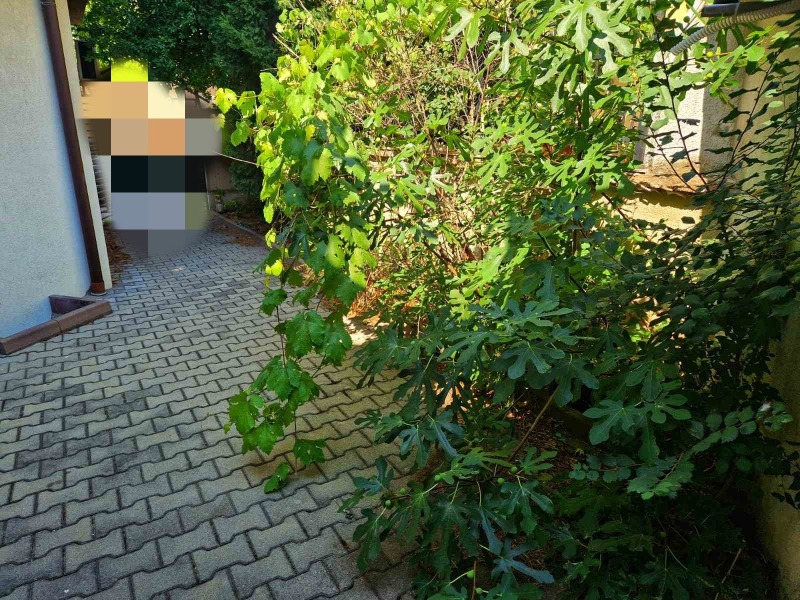 For Sale  Studio region Plovdiv , Asenovgrad , 30 sq.m | 94317055 - image [5]
