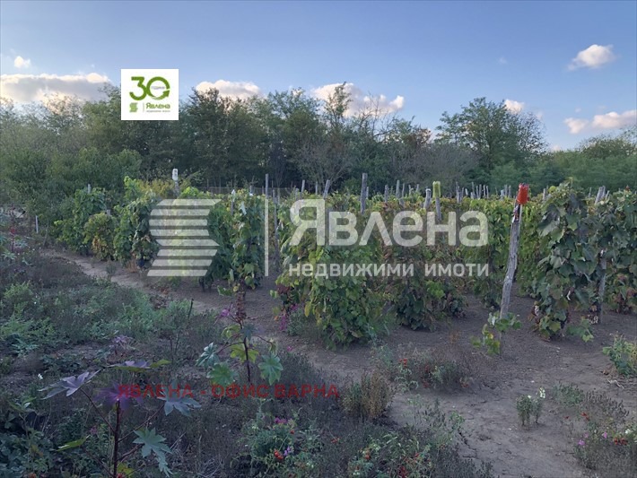 Na prodej  Dům oblast Dobrich , Vidno , 150 m2 | 69995295 - obraz [2]