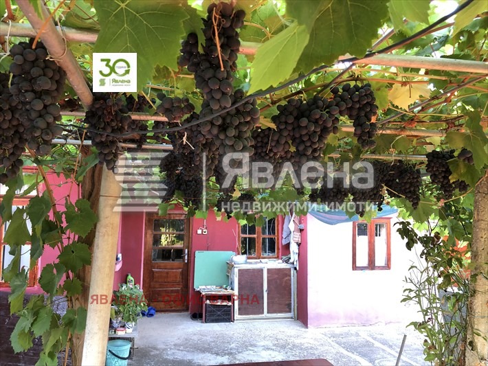 Na prodej  Dům oblast Dobrich , Vidno , 150 m2 | 69995295 - obraz [6]