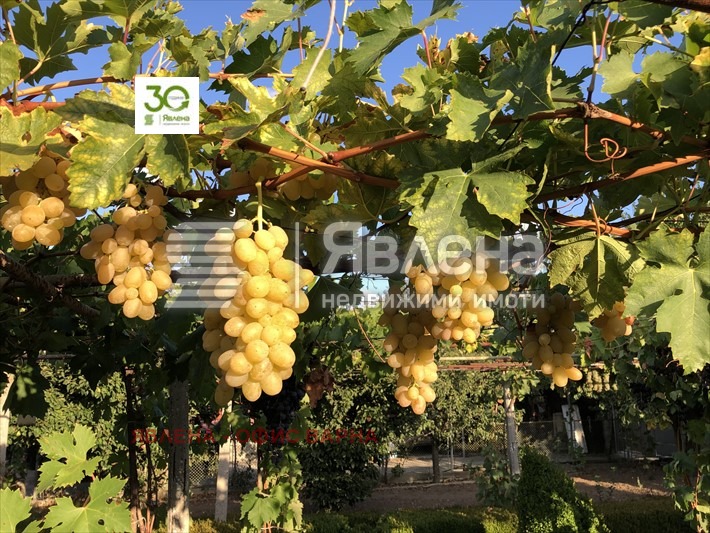 Na prodej  Dům oblast Dobrich , Vidno , 150 m2 | 69995295 - obraz [12]