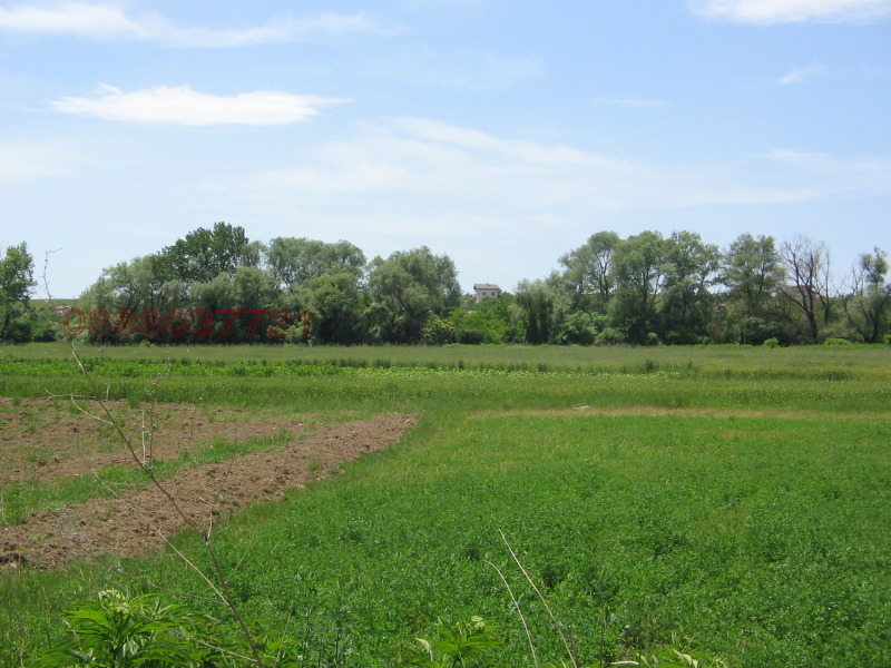 Продава ПАРЦЕЛ, с. Драговищица, област София област, снимка 2 - Парцели - 53559124