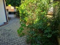 Продава 1-СТАЕН, област Пловдив, гр. Асеновград • 45000 € • 33712426 — Holmes.bg