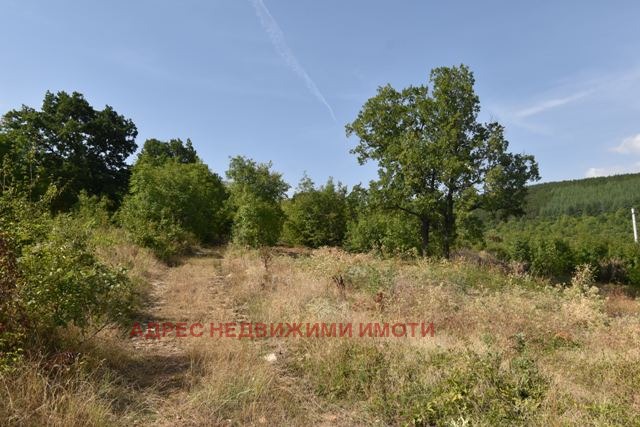 Na prodej  Spiknutí Stara Zagora , Dabrava , 279 m2 | 98360459 - obraz [2]