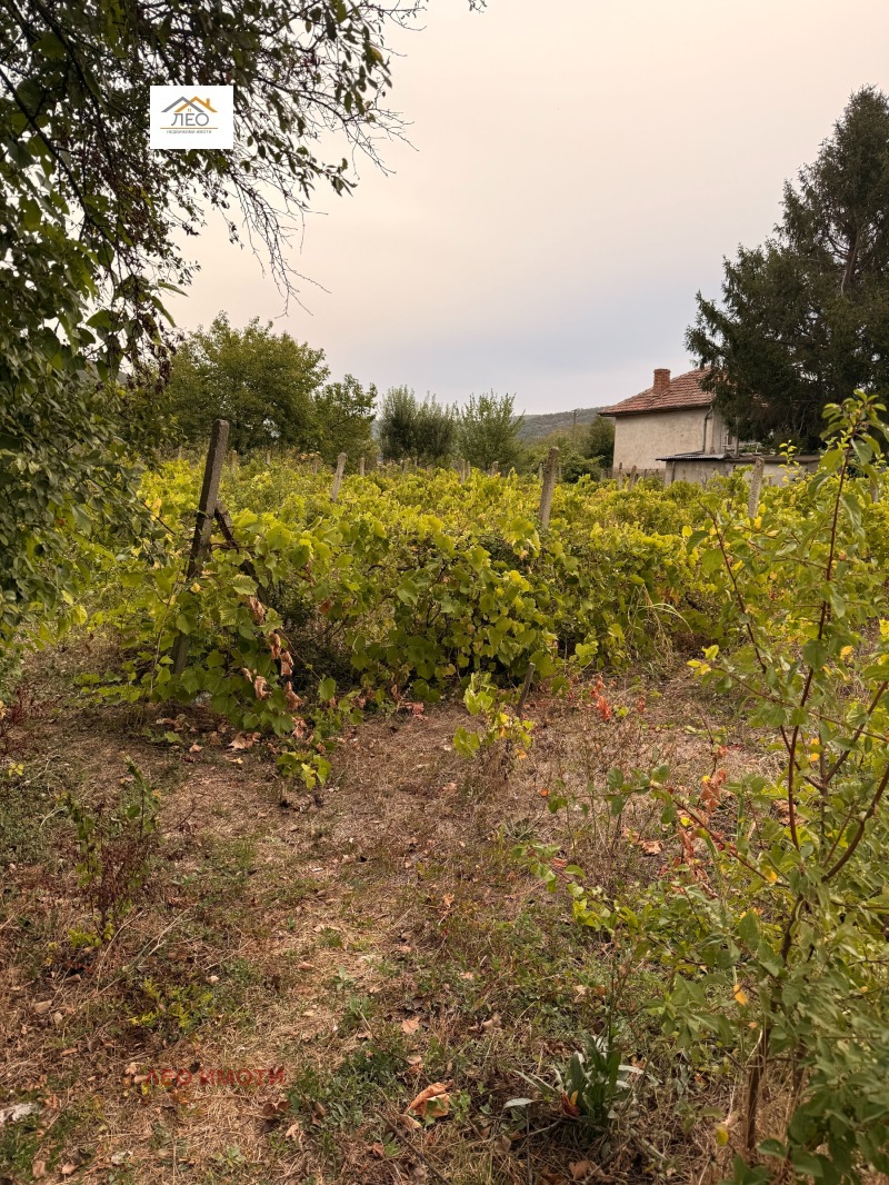 Na sprzedaż  Działka region Gabrowo , Kormjansko , 1080 mkw | 81913869 - obraz [3]