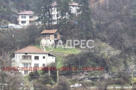 ����� ������� ������,���� ������, ����� �������