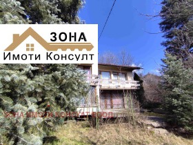 ������ ������� ����