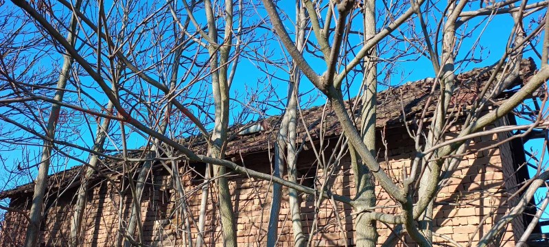 Продава КЪЩА, гр. Мизия, област Враца, снимка 12 - Къщи - 52776634