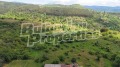 Продава ПАРЦЕЛ, с. Горна Василица, област София област, снимка 6