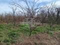 Продава КЪЩА, област Добрич, с. Сенокос • 133000 лв. • 79911320 — Holmes.bg