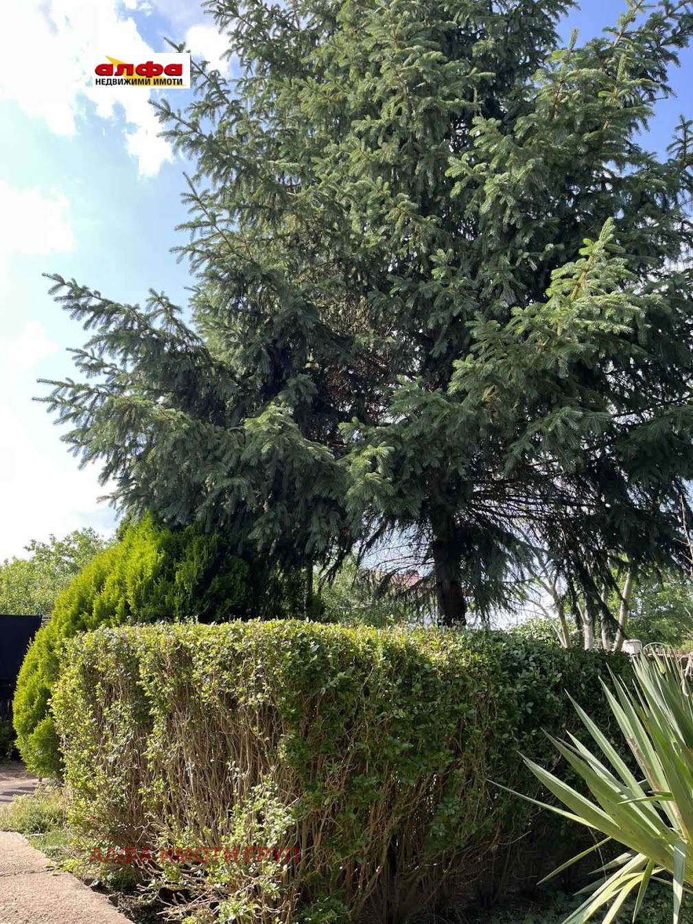 ������� ���� | Imot.bg � ����������� 5