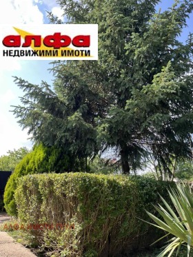 ������� ���� | Imot.bg � ����� ������ 5