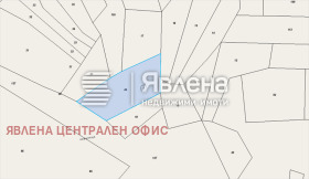 ����� ������� ������,�. ��������, ������ ������