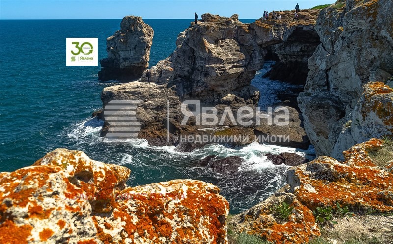 Προς πώληση  Οικόπεδο περιοχή Dobrich , Τγιουλενοβο , 6000 τ.μ | 93824415 - εικόνα [4]