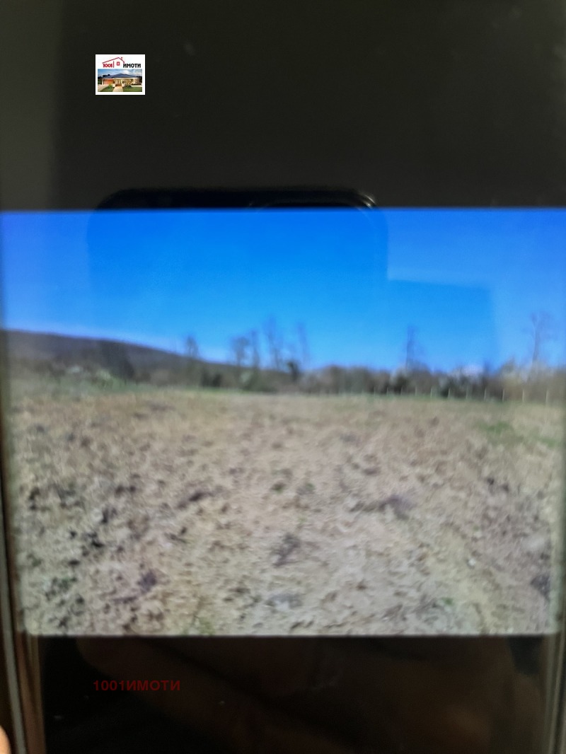 Продава ЗЕМЕДЕЛСКА ЗЕМЯ, с. Прилеп, област Добрич, снимка 2 - Земеделска земя - 52664914