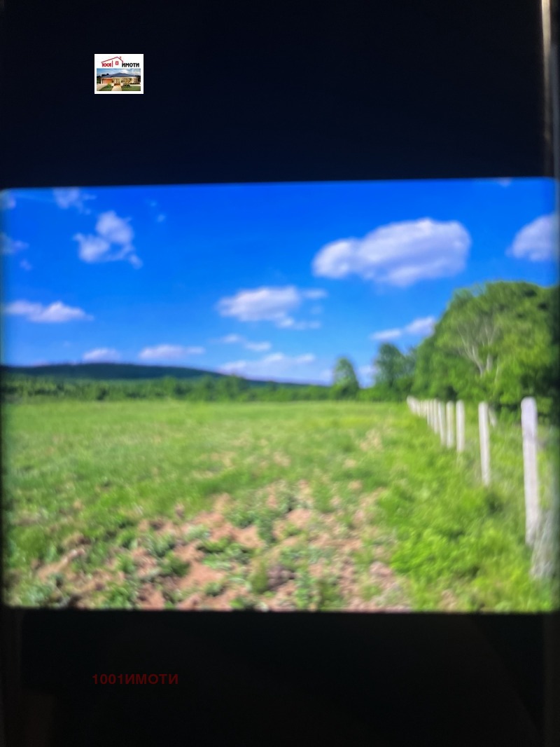 Продава ЗЕМЕДЕЛСКА ЗЕМЯ, с. Прилеп, област Добрич, снимка 3 - Земеделска земя - 52664914