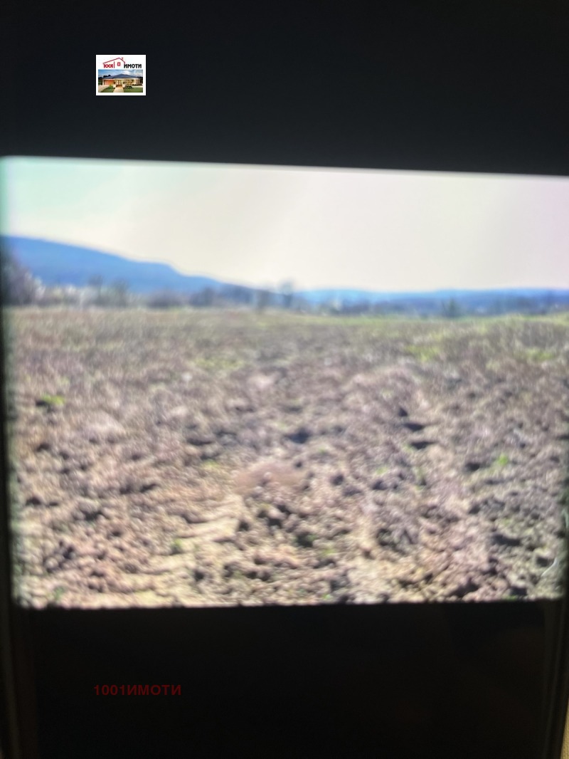 Продава ЗЕМЕДЕЛСКА ЗЕМЯ, с. Прилеп, област Добрич