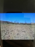 Продава ЗЕМЕДЕЛСКА ЗЕМЯ, с. Прилеп, област Добрич, снимка 2