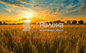 ����� ������� ������,�. ��������, ������ ������