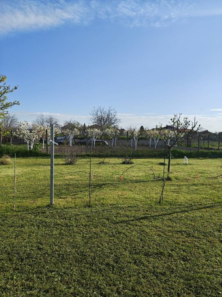 Продава КЪЩА, с. Радиново, област Пловдив