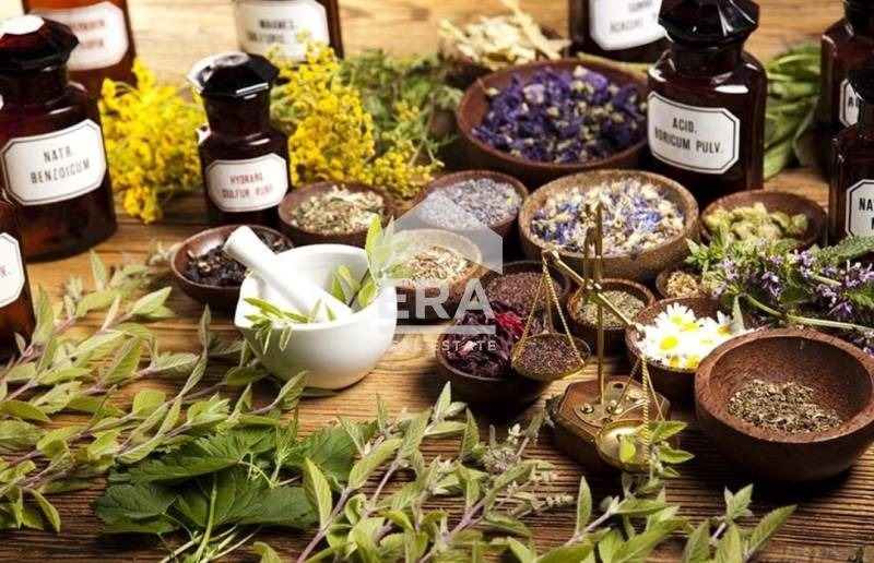 Продава ПАРЦЕЛ, с. Конуш, област Хасково, снимка 2 - Парцели - 52607049