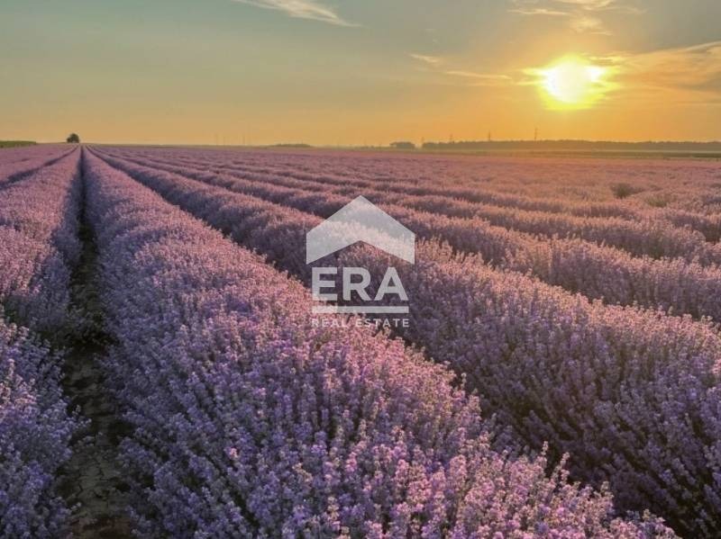 Продава ПАРЦЕЛ, с. Конуш, област Хасково