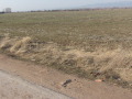 Продава ПАРЦЕЛ, област София, гр. Елин Пелин • 1762390 € • 96658277 — Holmes.bg