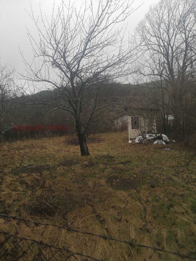 Продава ПАРЦЕЛ, гр. Драгоман, област София област, снимка 5 - Парцели - 52908874