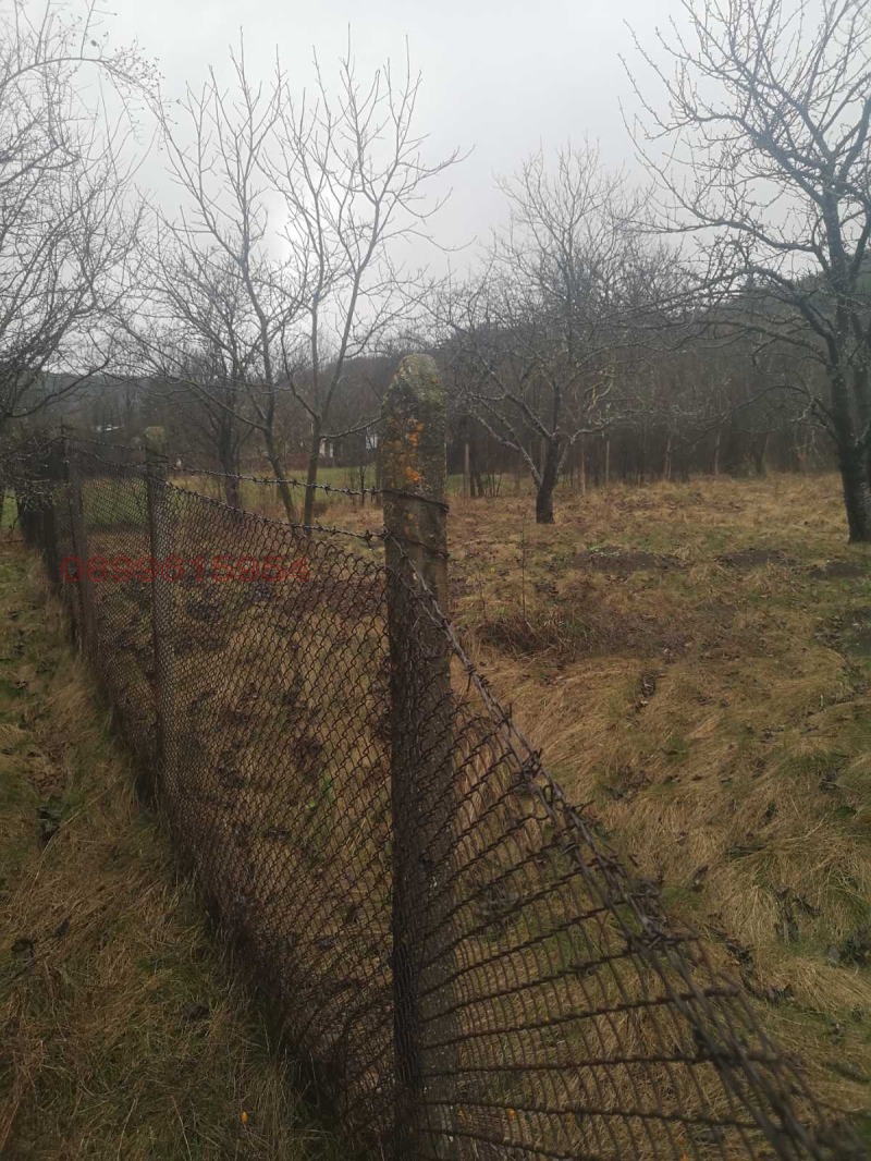 Продава ПАРЦЕЛ, гр. Драгоман, област София област, снимка 3 - Парцели - 52908874