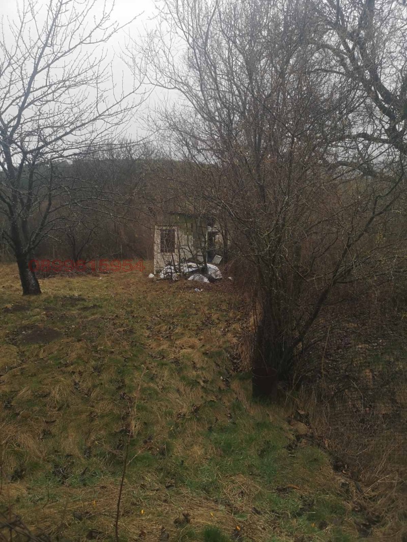 Продава ПАРЦЕЛ, гр. Драгоман, област София област, снимка 4 - Парцели - 52908874