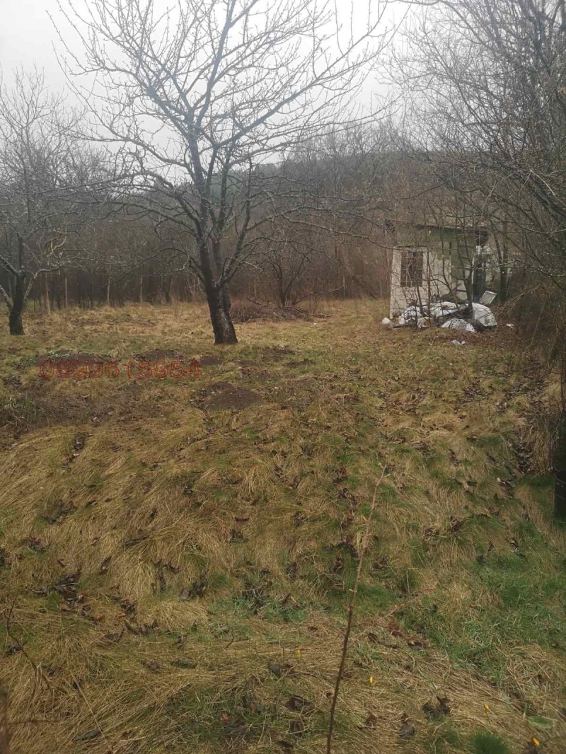 Продава ПАРЦЕЛ, гр. Драгоман, област София област, снимка 2 - Парцели - 52908874