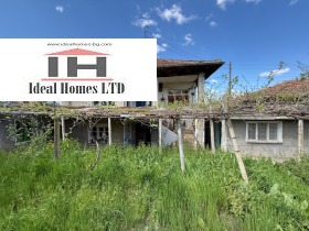 ������ ������� ����