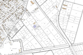 ����� ������� ������,�. �����������, ������ �������