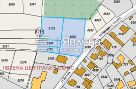 ������ ������� ������