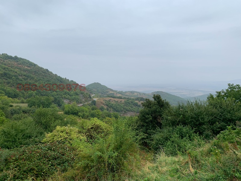 Продава КЪЩА, с. Орешец, област Пловдив, снимка 11 - Къщи - 53310714