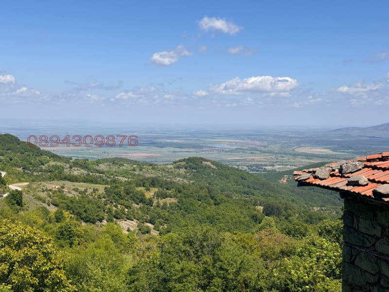 Продава КЪЩА, с. Орешец, област Пловдив, снимка 10 - Къщи - 53310714