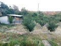Продава ПАРЦЕЛ, гр. Русе, в.з. Русофили, снимка 2