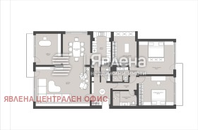 ����� ������� 4-�����,���� �����, ������