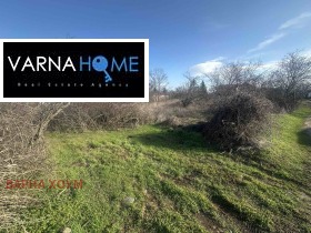 ������ ������� ������