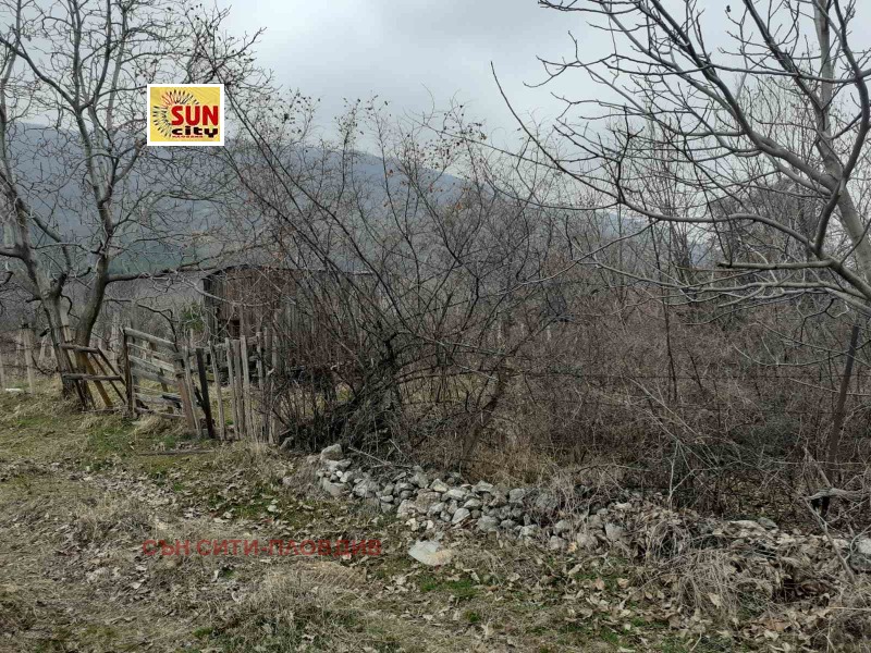 Продава ЗЕМЕДЕЛСКА ЗЕМЯ, с. Мулдава, област Пловдив, снимка 1 - Земеделска земя - 44615352