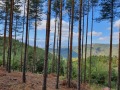 Продава ПАРЦЕЛ, с. Лещен, област Благоевград, снимка 5