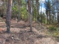 Продава ПАРЦЕЛ, с. Лещен, област Благоевград, снимка 4