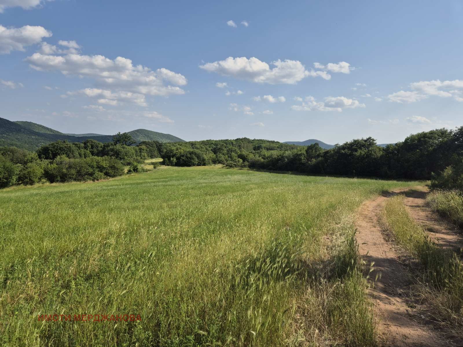 Продава ПАРЦЕЛ | Imot.bg — изображение 4