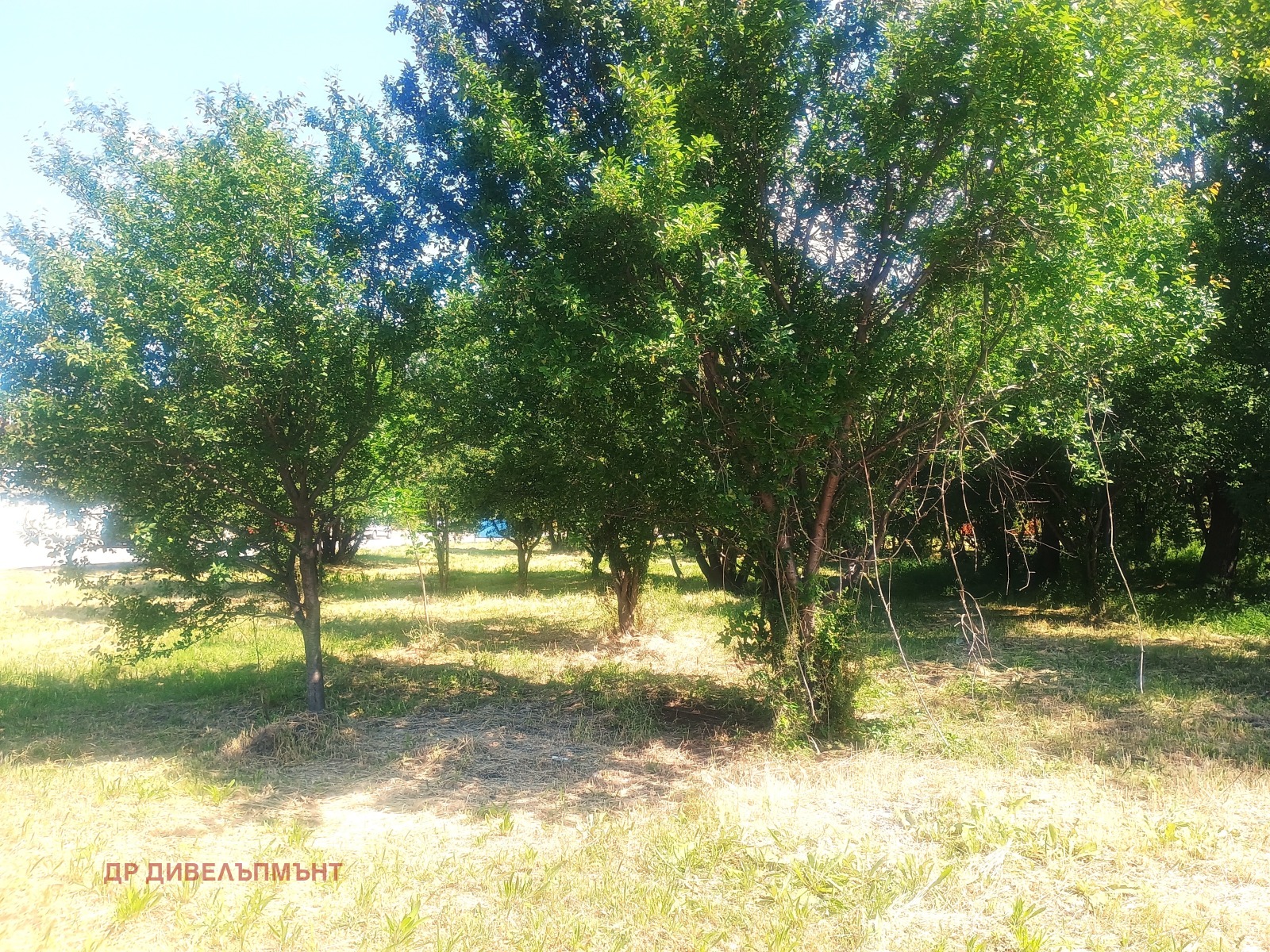 Продава ПАРЦЕЛ | Imot.bg — изображение 4