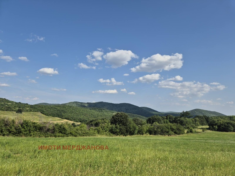 Продава  Парцел, област Стара Загора, с. Борилово • 99 989 EUR • ID 63079530 — holmes.bg - [1] 
