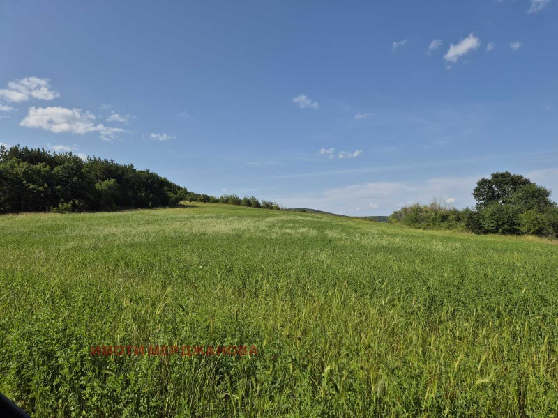 Til salgs  Plott region Stara Zagora , Borilovo , 3605 kvm | 66447072 - bilde [5]