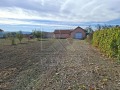 Продава  Пром. помещение област Пловдив , с. Цалапица , 700 кв.м | 34354471 - изображение [9]