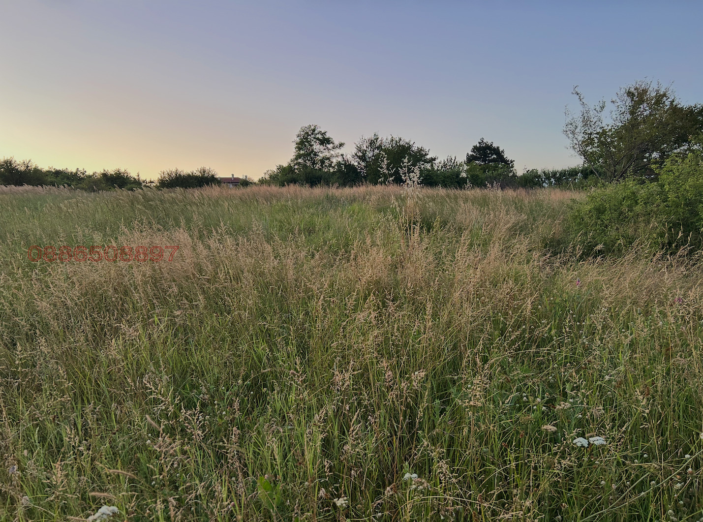 ������� ������ | Imot.bg � ����������� 1