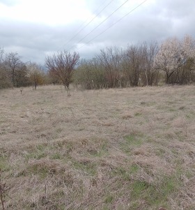 ������ ������� ������