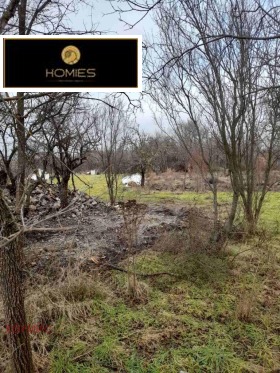 ����� ������� ������,�. ���������, ������ ������