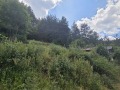 Продава ВИЛА, град Кюстендил, Колуша • 28000 лв. / 14316.17 € • 78577244 2